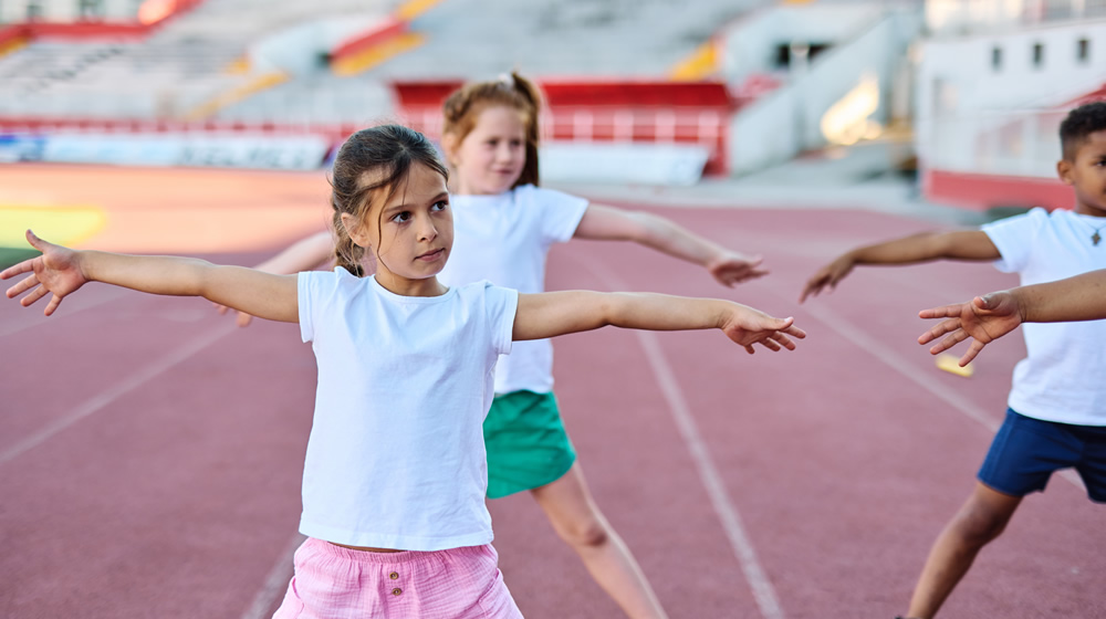 Class Enrollment Interface